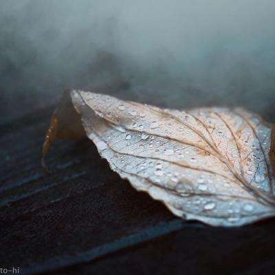 pg电子·模拟器(试玩游戏)手机app下载